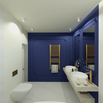 Proiect Casa Dobroesti