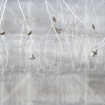 Fototapet cu model Bohemian Birds Pale Blue - un design minimalist cu ramuri albe și păsări gri pe un fundal albastru pal.