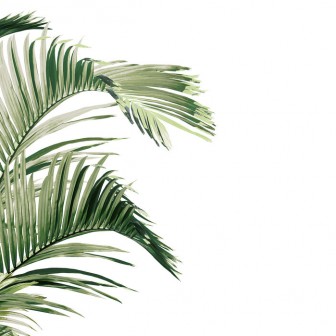 Tapet cu frunze tropicale Piece of Paradise, Viridescent