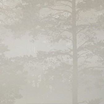 Fototapet cu pădure de pini în ceață, nuanțe bej