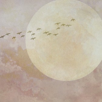 Fototapet cu luna și păsări în zbor