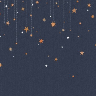 Tapet cu stele aurii si albe pe un fundal albastru inchis.