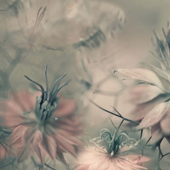 Wallpaper floral vintage cu flori delicate, perfect pentru un dormitor sau salon.