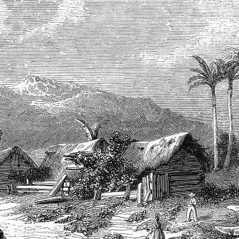 Wallpaper rotund cu Peisaj din Guadalupe, cu o imagine în alb negru, cu palmieri, case și munți,  pe un perete alb