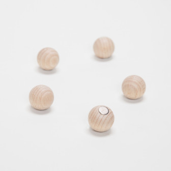 Bile magnetice din lemn fixând o ilustrație