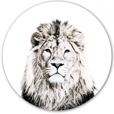 Sticker magnetic cu leu, 60cm