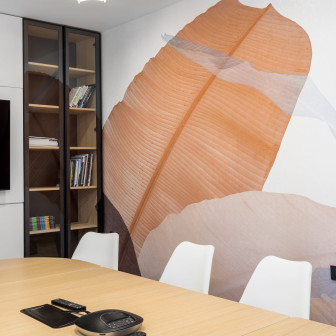 B1 office apartament